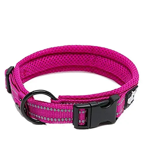 TrueLove Nylon Adjustable Padded Reflective Dog Collar TLC5011