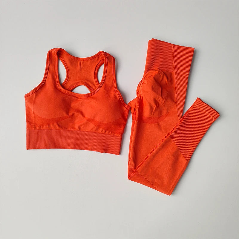 SKINOFSKIN Two Piece Sports Bra Set For Women Yoga Running Fitness