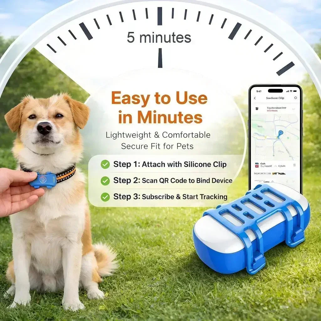 GPS Pet Tracker 4G For Dogs And Cats Built In SIM Real Time Tracking