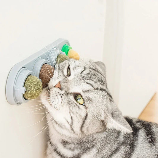 Rotating Catnip Toy For Cats Wall Mount Teeth Cleaning