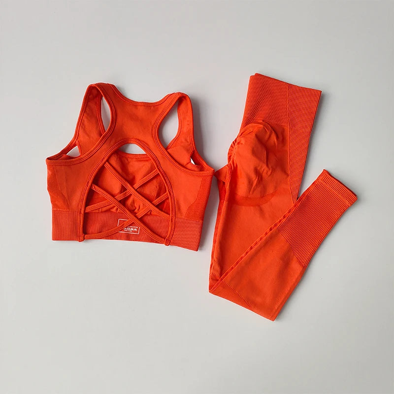 SKINOFSKIN Two Piece Sports Bra Set For Women Yoga Running Fitness