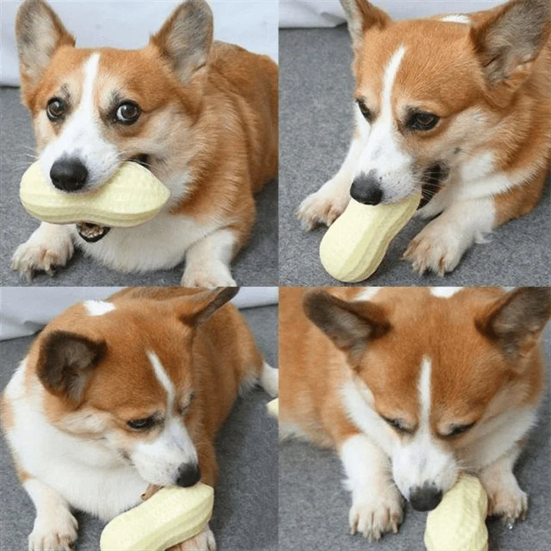 Dog Peanut Squeaking Chew Toy TPR Interactive Dental Cleaning