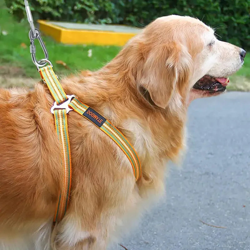 Stainless Steel Double Headed Dog Tie Out Cable Leash Buckle