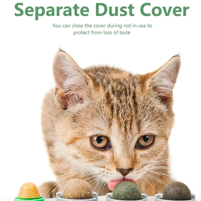 Rotating Catnip Toy For Cats Wall Mount Teeth Cleaning