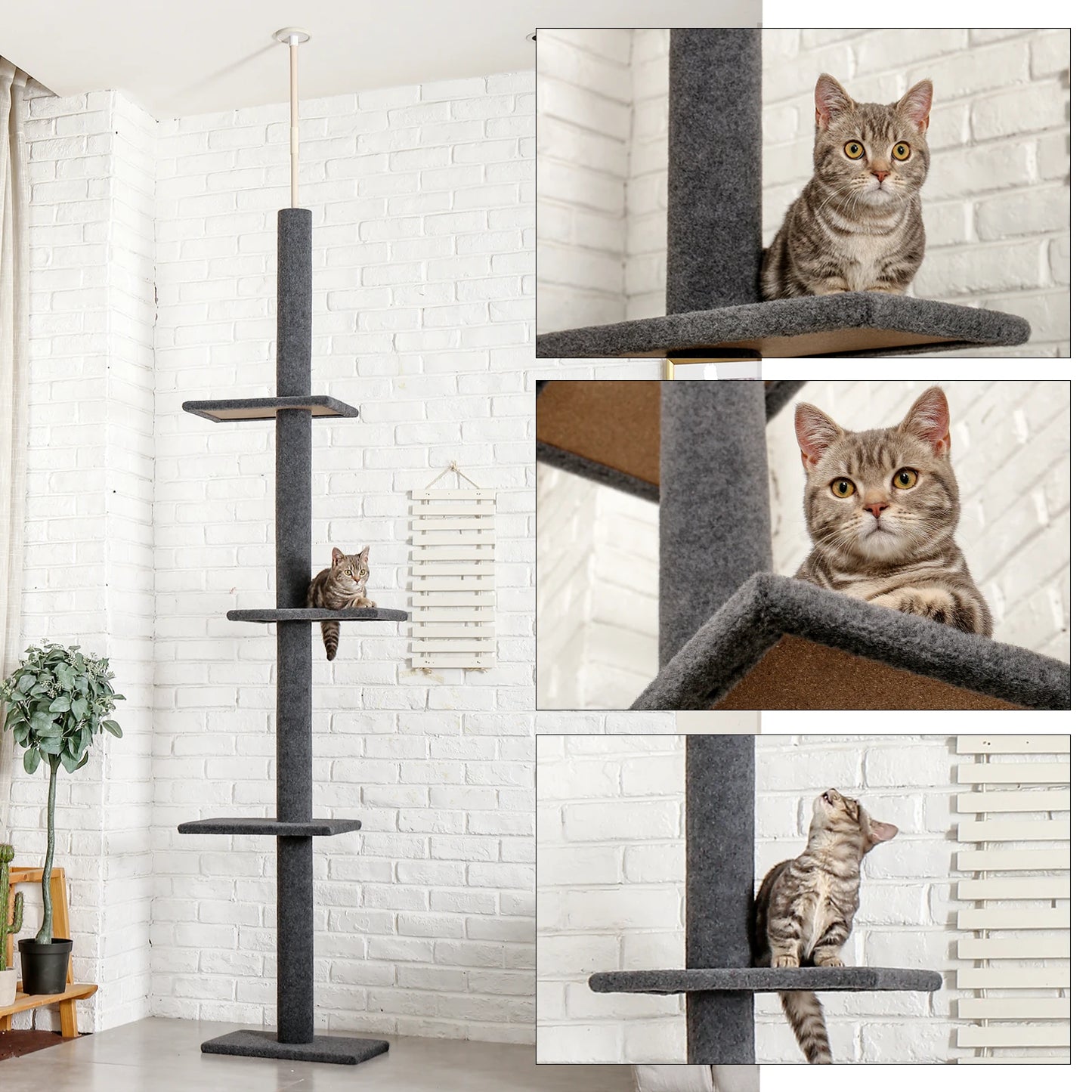 PEQULTI Adjustable Height Cat Tree Indoor Scratching Posts For Cats