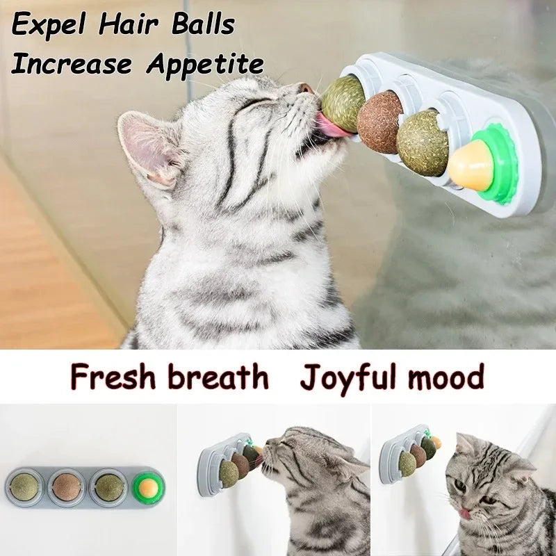 Rotating Catnip Toy For Cats Wall Mount Teeth Cleaning