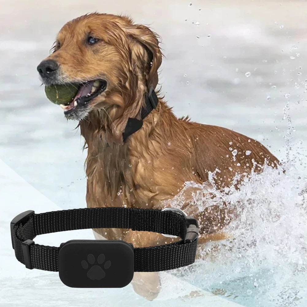Pet GPS Tracker With Adjustable Collar For Cats And Dogs