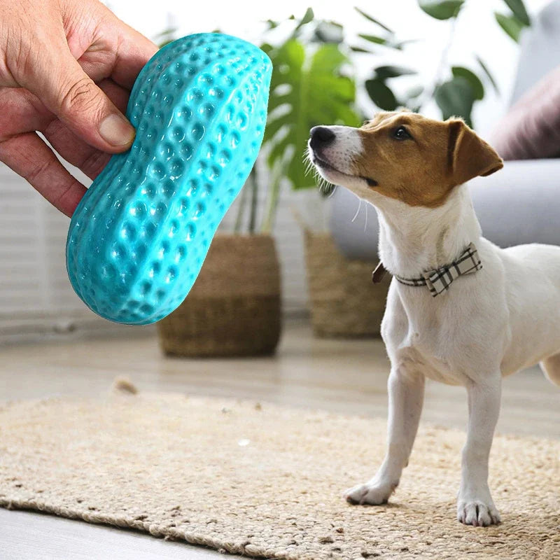 Dog Peanut Squeaking Chew Toy TPR Interactive Dental Cleaning