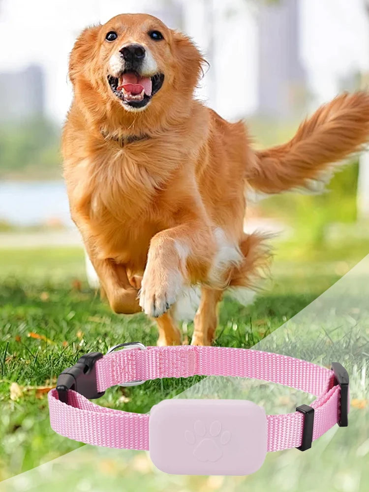 Pet GPS Tracker With Adjustable Collar For Cats And Dogs