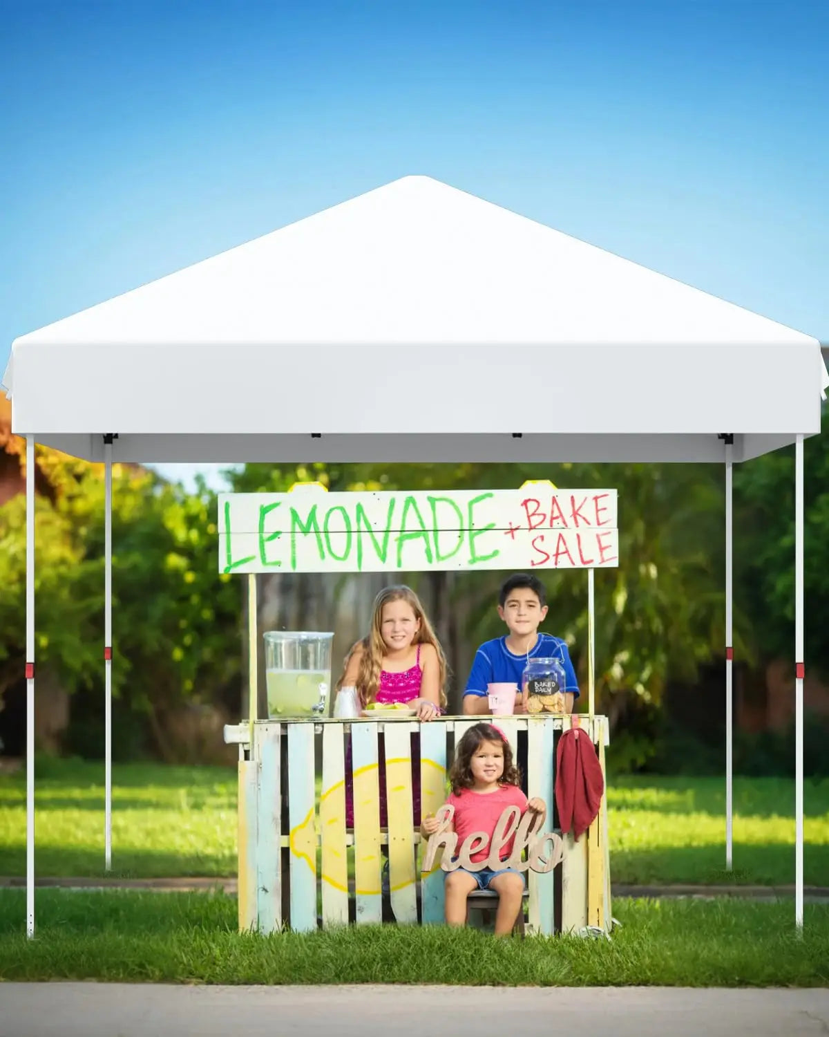 Pop Up Canopy Tent Waterproof Instant Shelter Wheeled Bag