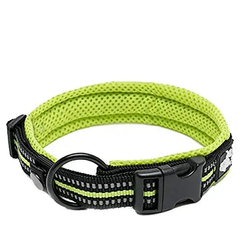 TrueLove Nylon Adjustable Padded Reflective Dog Collar TLC5011