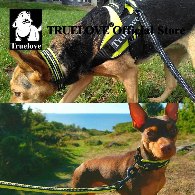 TrueLove Nylon Adjustable Padded Reflective Dog Collar TLC5011
