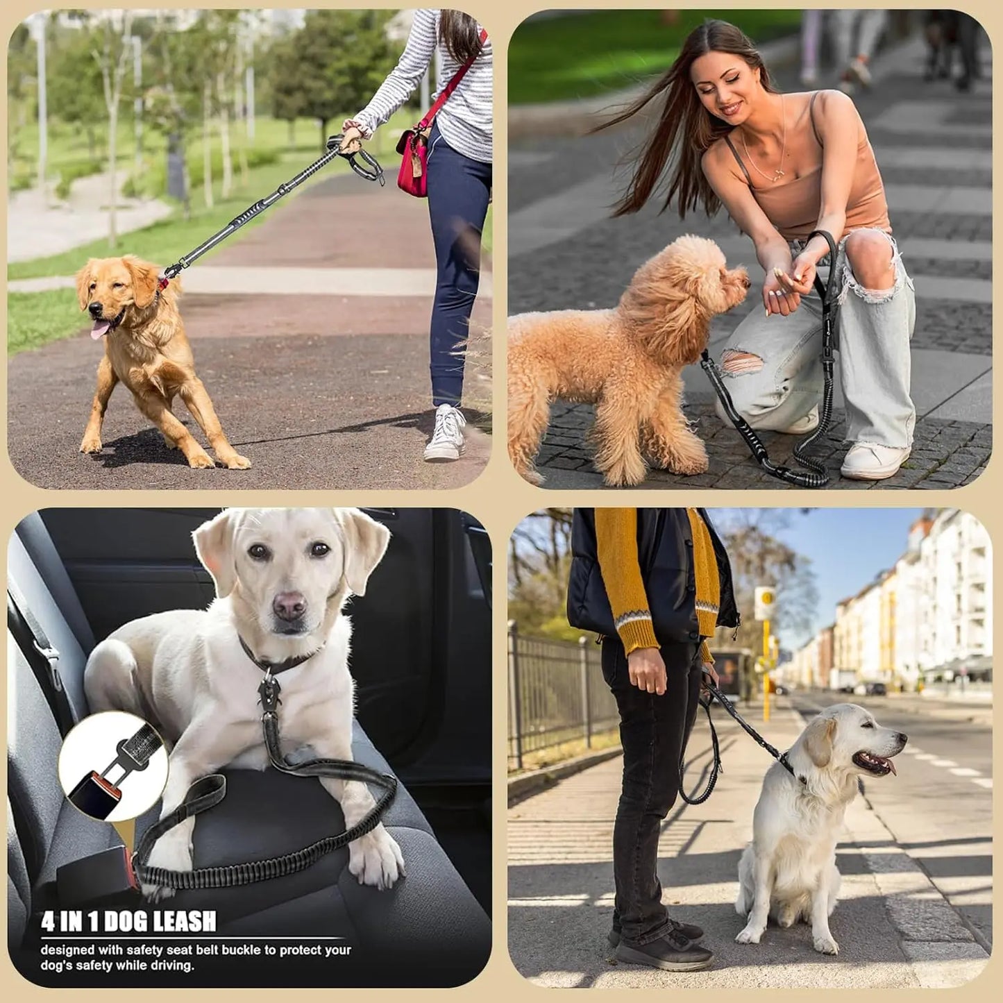 Reflective Shock Absorbing Dog Leash With Car Seatbelt No Pull